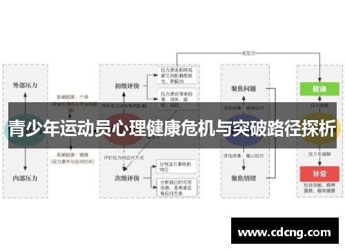 青少年运动员心理健康危机与突破路径探析